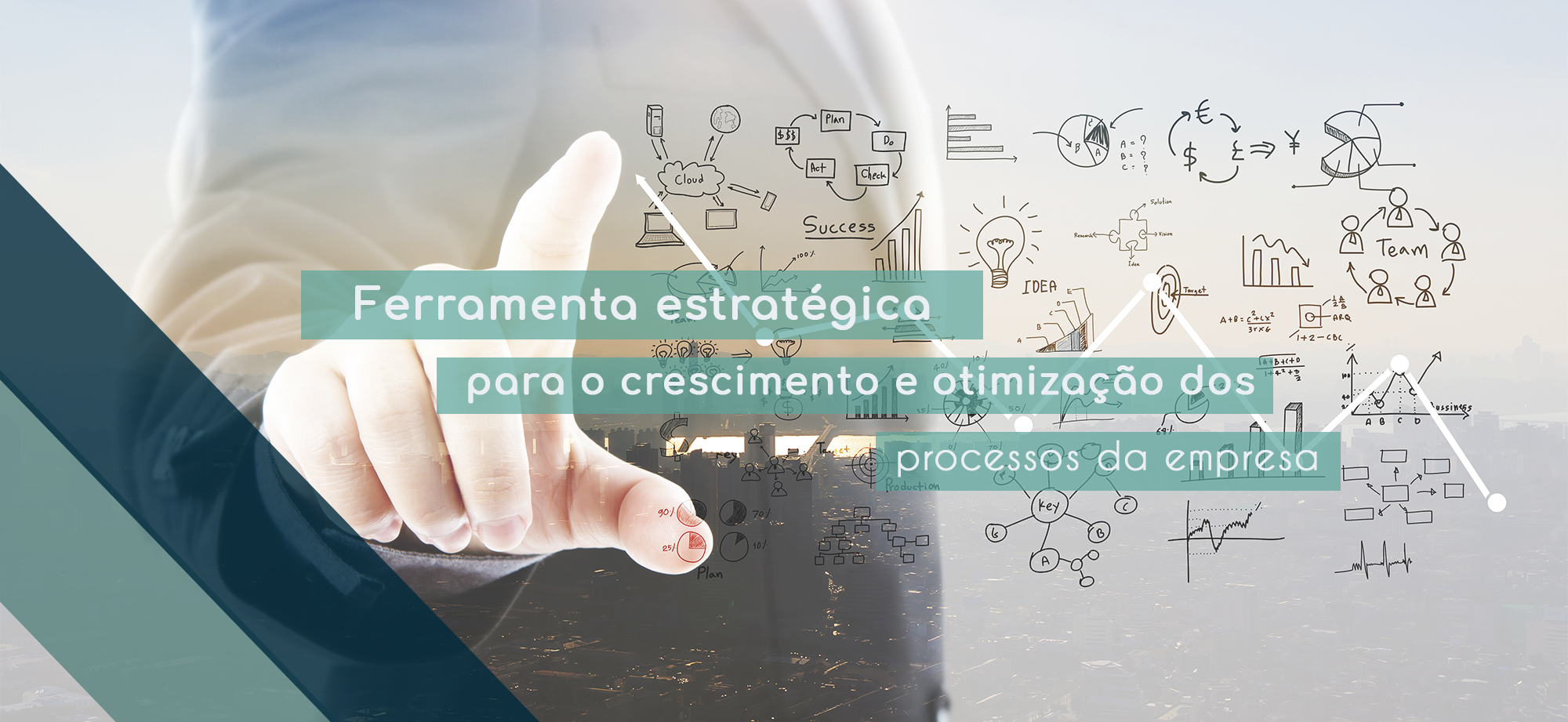 Crescimento e Processos 